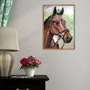 5D DIY Full Drill Diamond Painting Horse Cross Stitch Embroidery Kit (F)