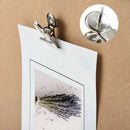 20 Pieces Push Pins Clips Tacks Clips Thumb Clips Wall Clips with Pins for  P1W3