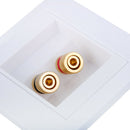 Port Speaker Binding Post Wall Face Plate For Banana/Spade Plugs / Cable