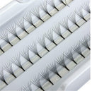 14mm Makeup 60 Individual Black False Eyelash Cluster Eye Lashes Extension TrayC