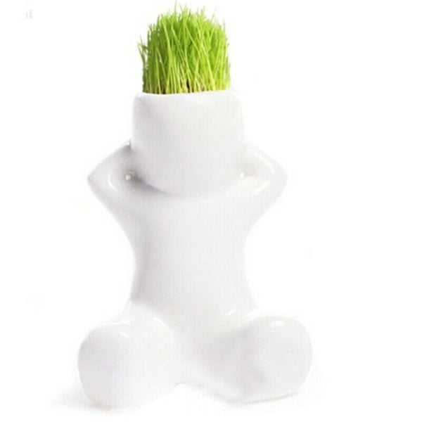Mini Green Herb Plant Pot Ceramic Hair Home Office Garden Decoration-The sh