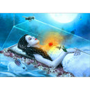 5D DIY Full Drill Diamond Painting Ice Beauty Embroidery Mosaic Craft Kit
