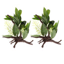 2 PCS Aquarium Reptile Tortoise Gecko