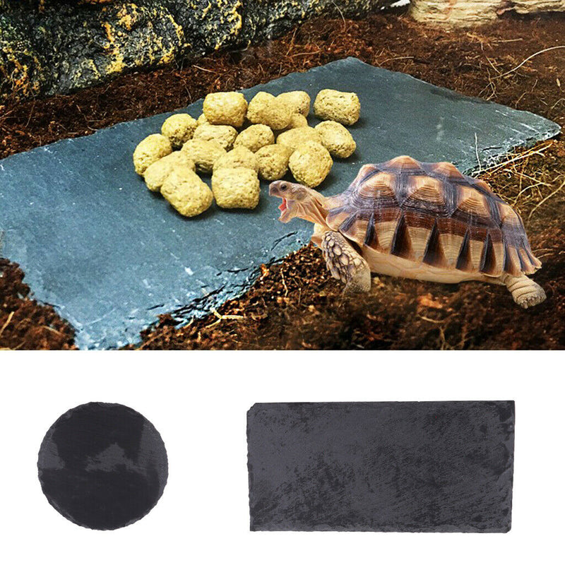 Turtle Rock Food Dish Basking Rock Feeding Platform Resting Basking Rectangle