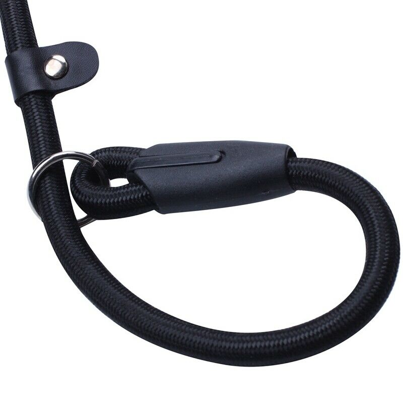 52inch Strong Nylon Rope Pet Dog Slip Training Leash Walking Lead Collar (B