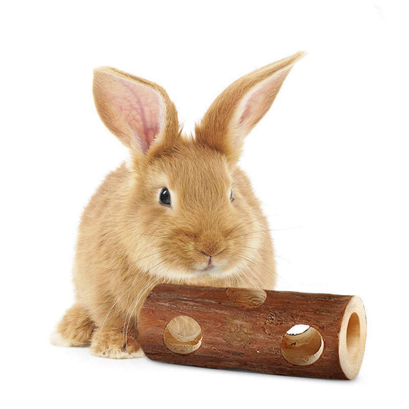 Natural Wood For Hamsters Organic Soft Wood, Non-Toxic, Pesticide-Free, Tho H6P2