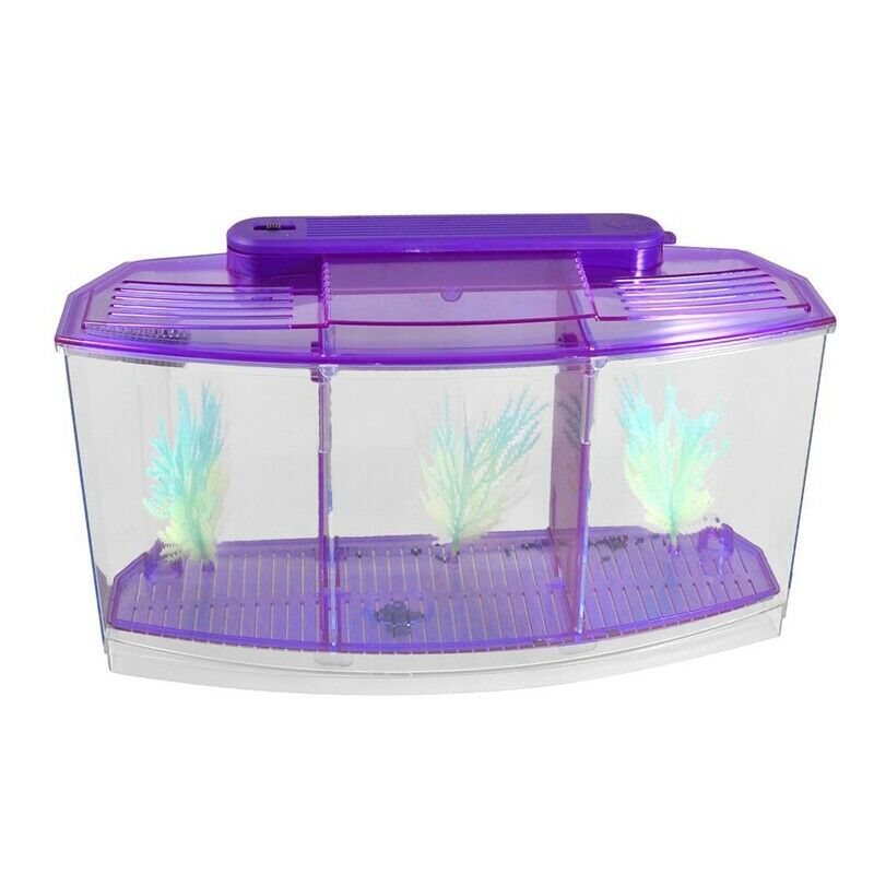 transparent, purple Plastic Battery Powered LED Lamp Mini Desktop Fish Aqua H2B6