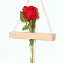 Wall Hanging Clear Glass Vase Flower Planter Bottle Tube Pot Terrarium Decor