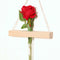 Wall Hanging Clear Glass Vase Flower Planter Bottle Tube Pot Terrarium Decor