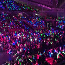 Changeable Light Up Foam Sticks LED Wands Rally Rave Batons Flashing Glow S A5V0