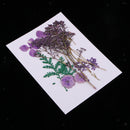 11x Unfinished Wood Pieces Decor Dried Flowers Bookmark Board Card