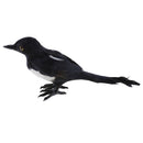Realistic Magpie Bird Outdoor Garden Pond Ornament Sculpture Decoration