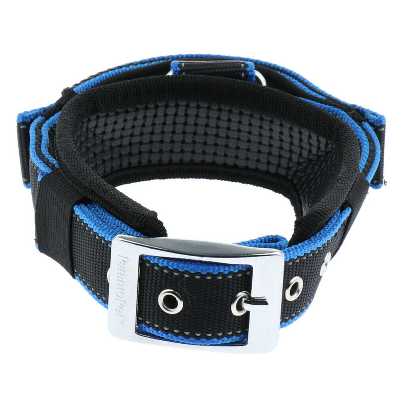 Pet Dog Collar Neck Belt with Adjustable Strap Dog Cat Pet Accessories Blue