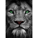 5D DIY Full Drill Diamond Painting Lion Embroidery Mosaic Craft Kit (hg404)