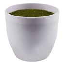 Artificial plants ball bonsai can washes decorative green plants for home d X8V4