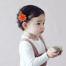 10Pcs Chiffon Flower Girls Baby Hair Clips Hairpins Headwear Barrettes Chil P2W1