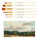 6Pcs Round Point Tip Paint Brush Set Nylon Artist Artist Painiting Brushes