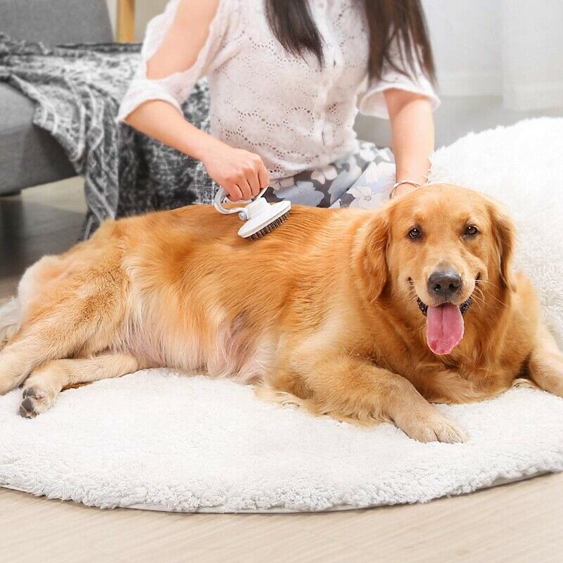 Dele Pet Slicker Brush for Dogs and Cats Pro Quality Self Cleaning Grooming