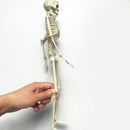 Human Jointed Skeleton Halloween Crazy Skeleton Skeleton Garden Decor Props