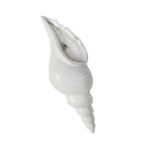 Ceramic Shell Conch Flower Vase Wall Hanging Decorative Flowerpot Decor