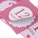 Milestone Baby First Year Monthly Development Monthly Stickers 1-12 Month