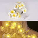 Creative Frangipani LED String Lights, AA Battery Floral Holiday Lightingã€ â„–[