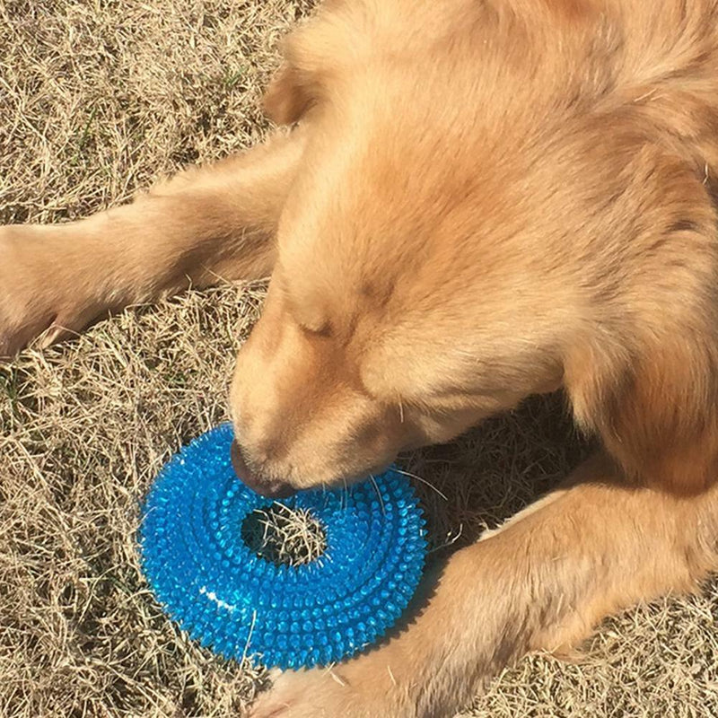 Clean Tooth Chew Thorn Ring Bite Resistant Squeaky Interactive Dog Toys SN9F