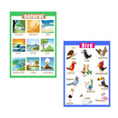 Birds &Nature~Kindergarten Classrooms Early Learning Posters Chart