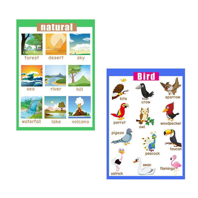 Birds &Nature~Kindergarten Classrooms Early Learning Posters Chart