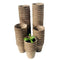 100Pcs Biodegradable Pulp Pots Plants Seedling Raising Pot Vegetable Fruit  C8F7