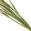 2pcs 49cm Artificial Plant Plastic Taro Leaf Realistic Plant Table Decor