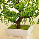 Simulation Guest-Greeting Pine Plant Potted Indoor Green Small Bonsai Decoration