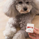 Pet Wound Hemostatic Anti-Inflammatory Pain Powder Nail Universal Polish Y9W3