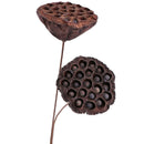 Lotus Natural Dried Flowers Bouquet Dried Plants Branch Fall Decorations Flor&+