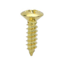 10pcs Permium Golden Screws fit Electric Guitar Pickguard Parts Accessories