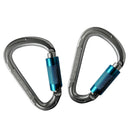 2pcs Carabiner Aluminum Screw Locking Spring Clip Hook Outdoor D Shaped Buckle