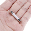 10 Pcs Microwave Ceramic Fuse Electric 20A 250V Home Supplies DIY 6x30mm ME