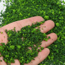 20g/pack Diorama Scenery Grass Material - Dark Green