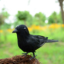 3x Simulated Crow Statue Lifelike Bird Raven Garden Decor Artificial Feather