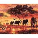 Painting By Numbers Kit DIY Elephant Hand Painted Canvas Oil Art Picture A