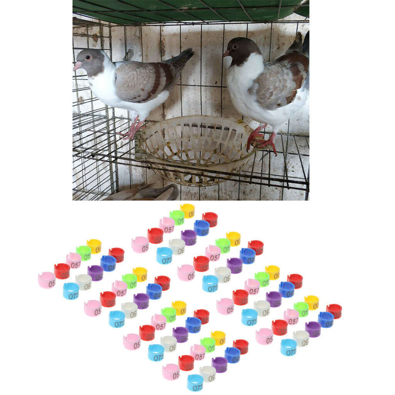 100Pcs Poultry Chick Chicken Duck Automated Management Chip Leg Foot Ring