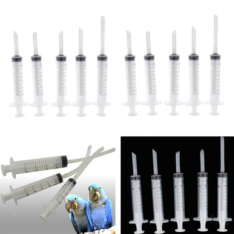 10x Canaries Finches Bird Feeding