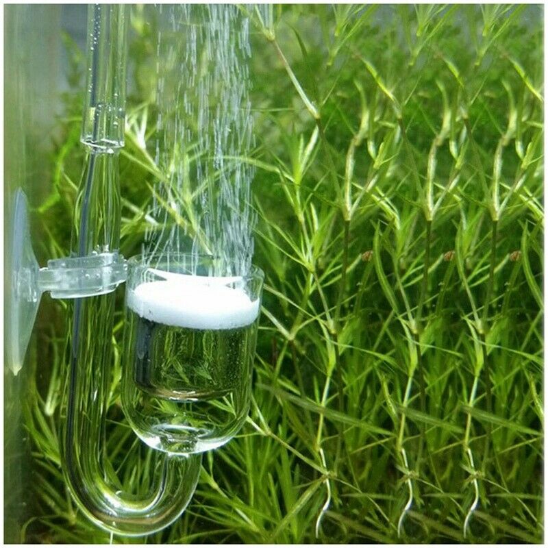 5X(Aquarium Fish Tank CO2 Diffuser Carbon Dioxide Reactor with Ceramic DiscG6U1)