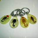 Scorpion Glow Lucite Keyring Keychain Insect Jewelry Taxidermy Gift 3C