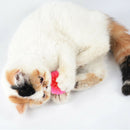 10x Colorful Balls Cat Toys Sm & Bulk Soft Plastic Ball Roll Quiet_Play