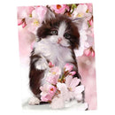2pcs DIY 5D Diamond Embroidery Painting Set Diamond Cat Flower Mosaic Crafts