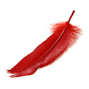 72 Pieces Craft Wild Goose Tail Wing Feather Millinery Mixed Colors 12-20cm V6R9
