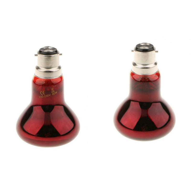 2Pcs B22 Reptile Heat Basking Lamp UVA Heater Glass Heat Emitter 220V 60W