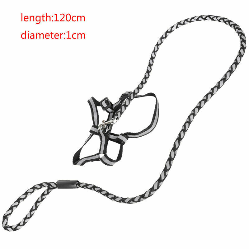 Night safety Strong Reflective Dog Leash Collar Pet Leads Belt Adjustable T