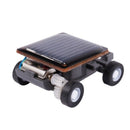 Solar Power Energy Frightened Grasshopper Insect Bug Locust